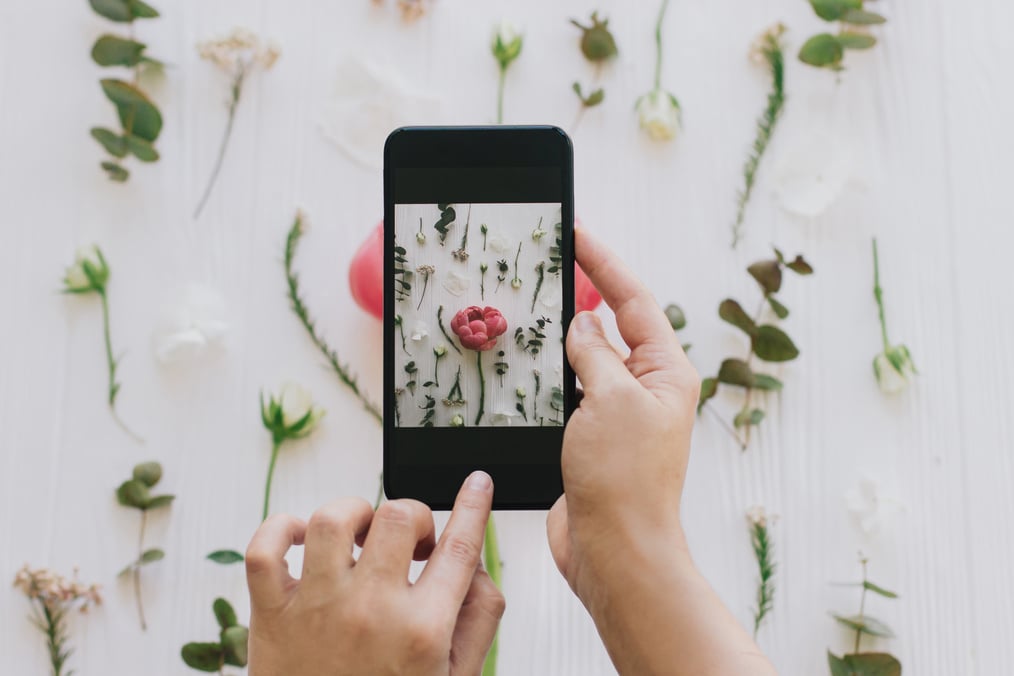 Blogging and Making Social Media Content. Hands Holding Phone an